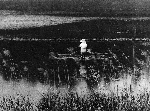 代搔き・都城郊外(S43.5)