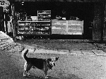 駄菓子屋・蔵原附近(S44.9)