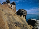 鵜戸岩礁